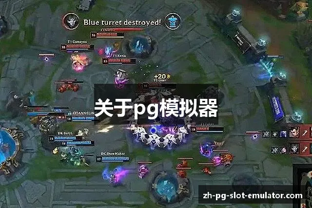 关于pg模拟器